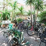 Ionian Paradise Apartament *