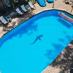 Ionian Paradise * Nydri (Lefkada)